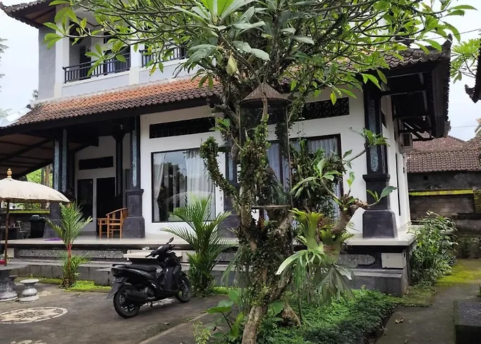 Aesthetic * Ubud